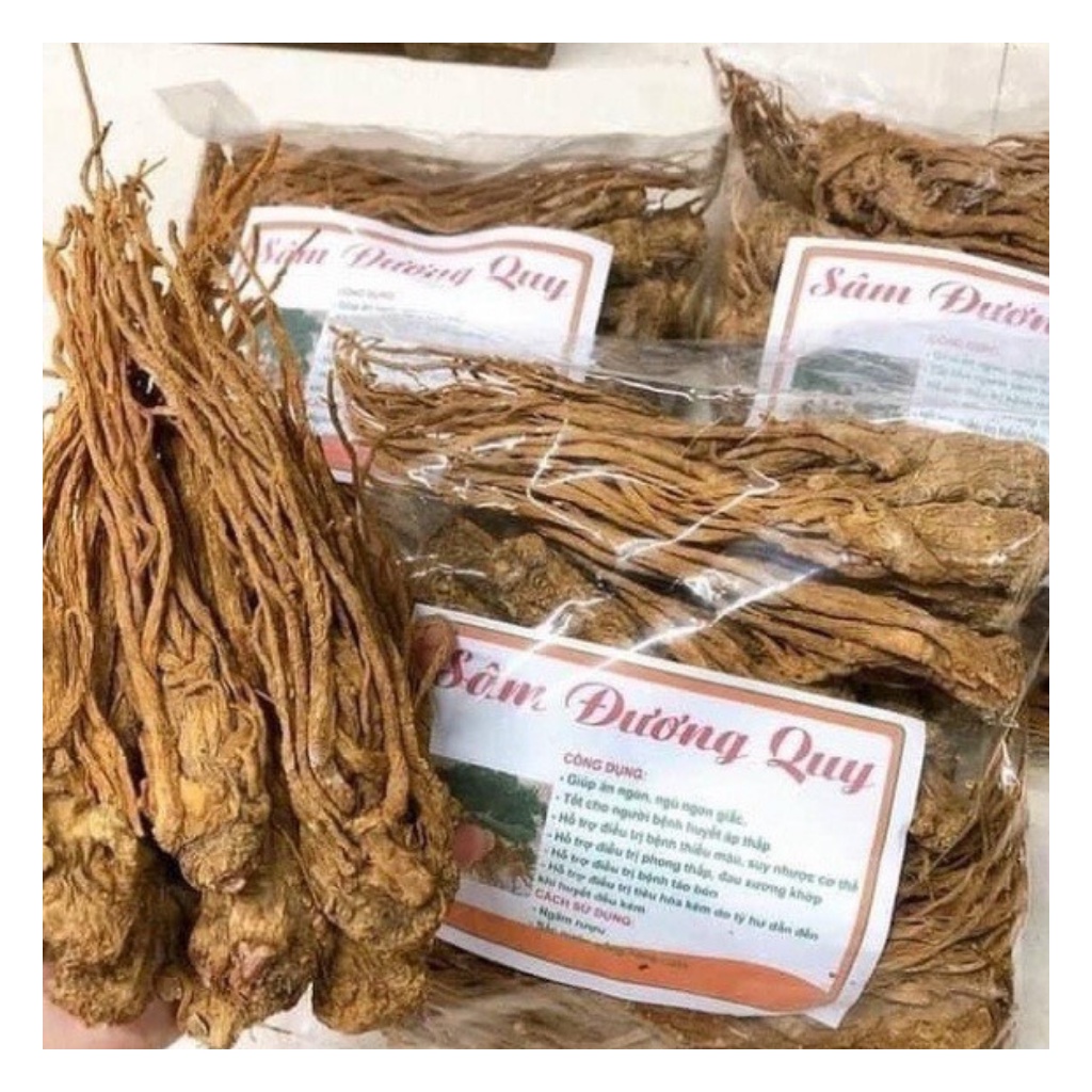 Sâm Đương Quy Khô Hàng Nguyên Củ To Đẹp  Hỗ Trợ Phong Thấp, Thiếu Máu, Huyết Áp Thấp Và Bồi Bổ Cơ Thể | BigBuy360 - bigbuy360.vn