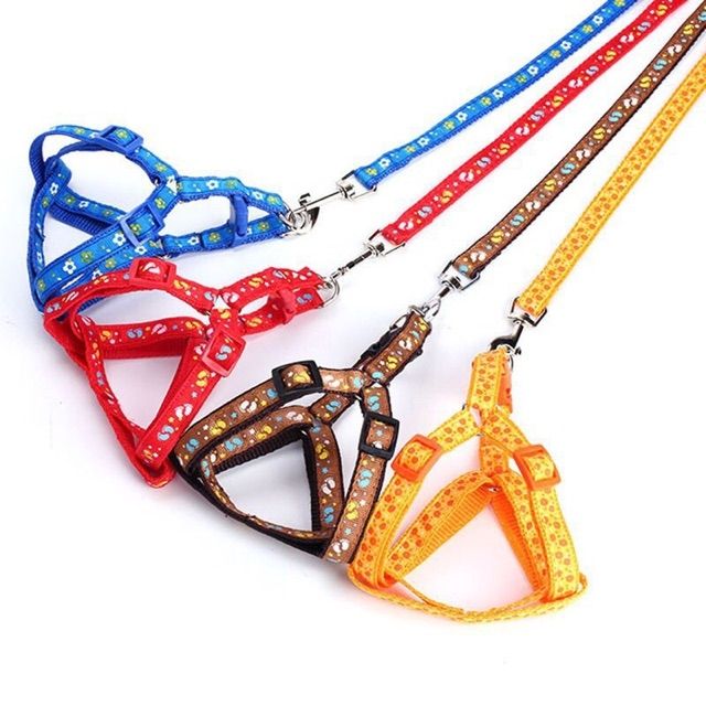 Dây dắt chó mèo kèm yếm