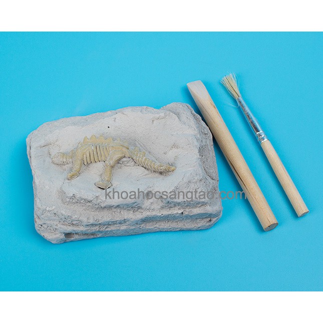 Đồ chơi hóa thạch khủng long - Kit stem