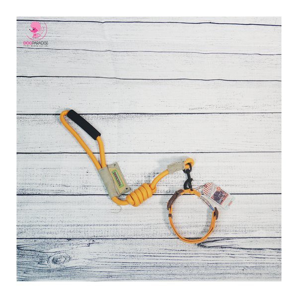 Bộ dây dẫn vòng cổ chó mèo siêu chắc TOUCHDOG - Màu Cam - Dog Paradise