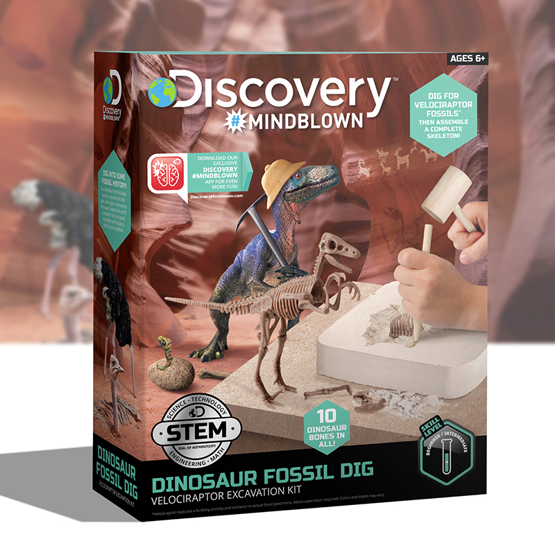 Bộ Đồ Chơi DISCOVERY Khảo Cổ Truy Tìm Xương Khủng Long - Velociraptor 1423004881