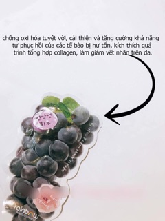 Nạ hoa quả rainbow Hàn quốc