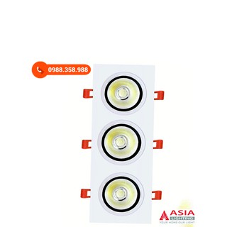 Đèn âm trần rọi mặt vuông ba ASIA 30W