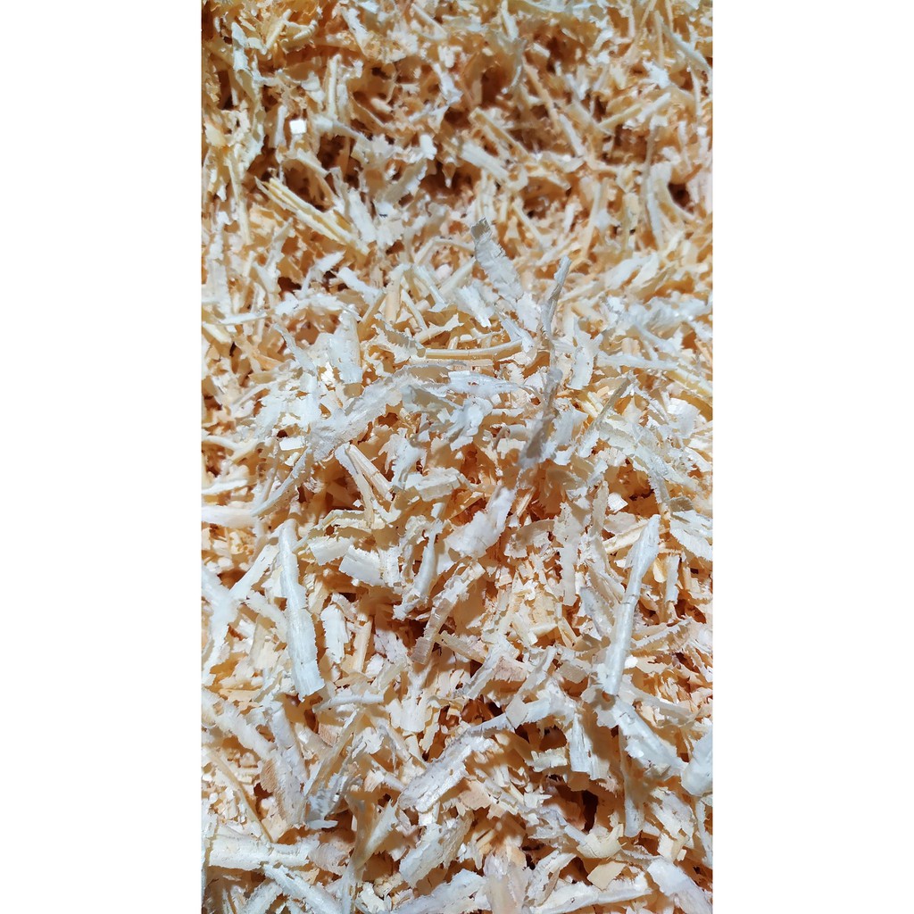Mùn cưa gỗ thông tự nhiên