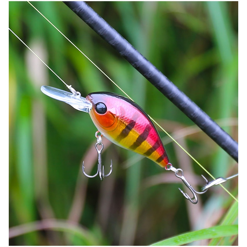 Mồi crankbait chuyên lure cá mú, cá hồng miêu, cá vượt Tsurinoya DW87 Hita Lure
