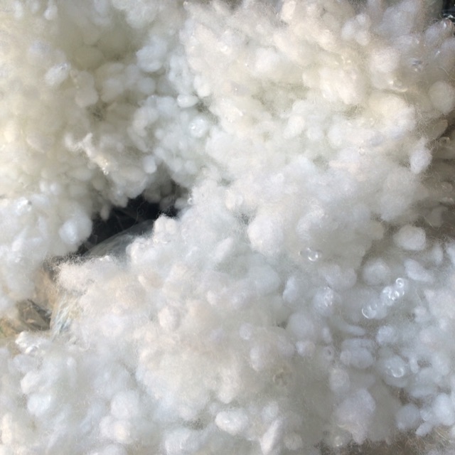 Bông Cotton nhồi gối