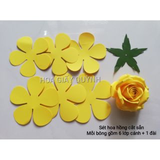 100 hoa cắt sẵn có đài