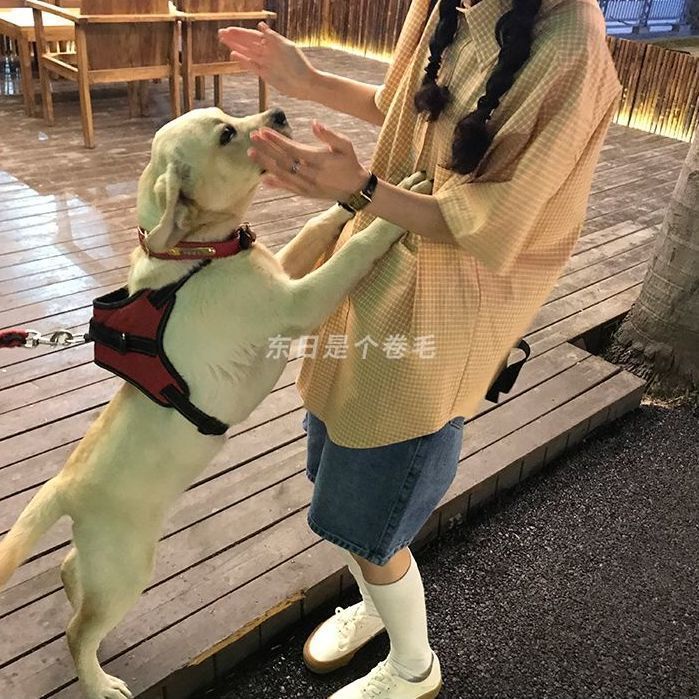 Quần short denim COZOK lưng cao ống rộng phong cách cổ điển