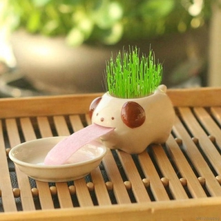 Desk Flower Pot Automatic Watering Flower Pot