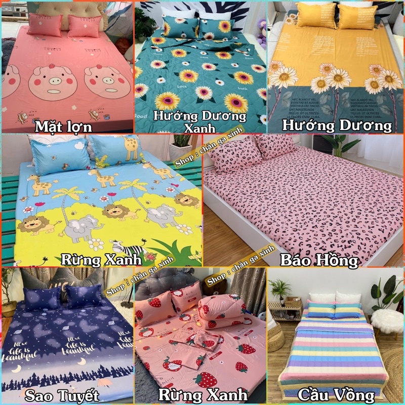 Bộ Drap Ga Giường Và 2 Vỏ Gối Poly Nhiều Mẫu Nghộ Nhĩnh Được Chọn Mẫu | BigBuy360 - bigbuy360.vn