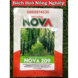 Hạt giống bí đao xanh lai f1 nova 209, chất lượng cao