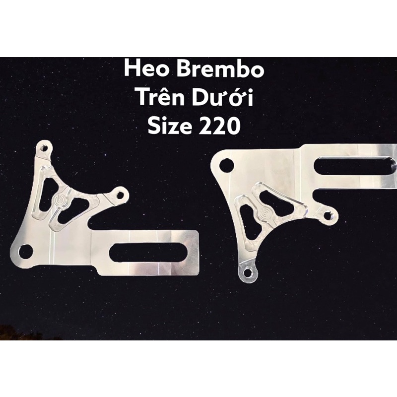 PASS HEO BREMBO 2PIS ĐĨA 220mm Winner Sonic