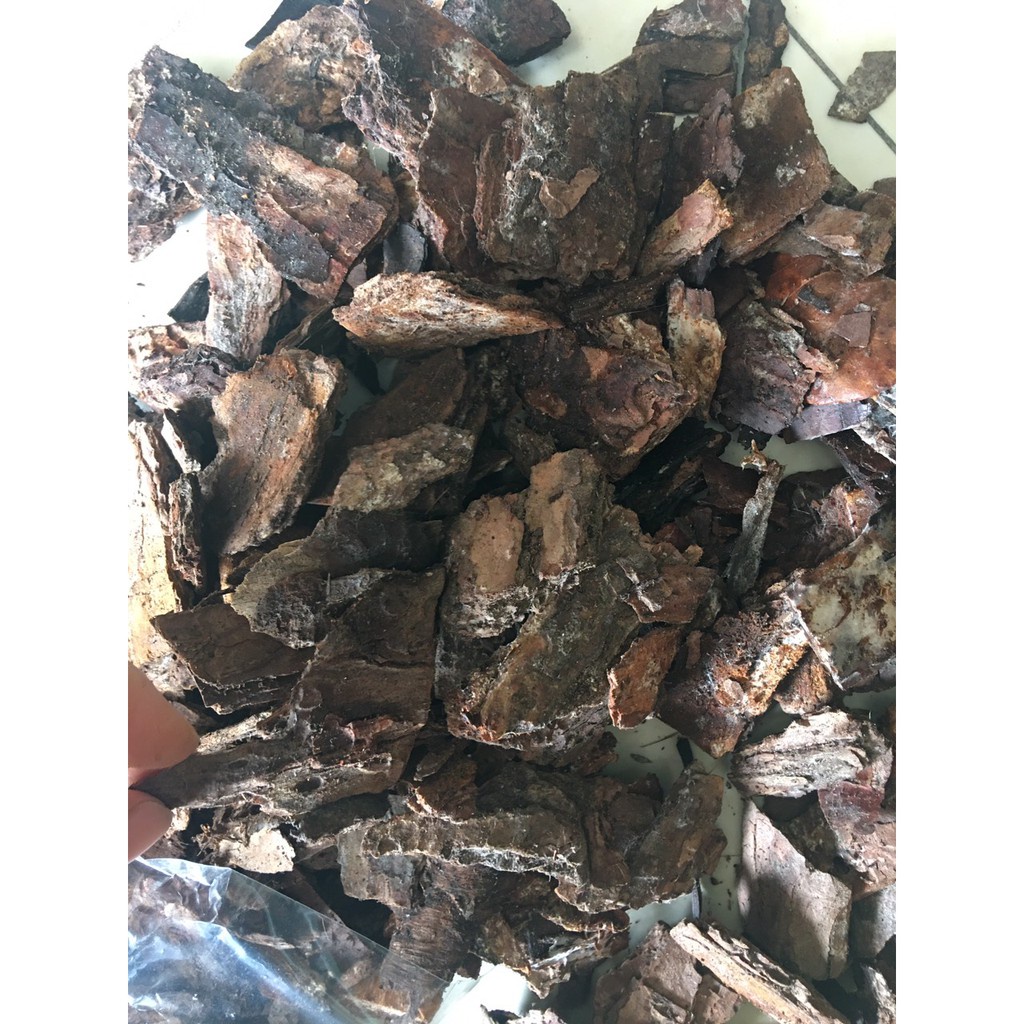 ( HOT HOT ) Vỏ thông trồng lan đã xử lý, ủ trichoderma túi 1kg