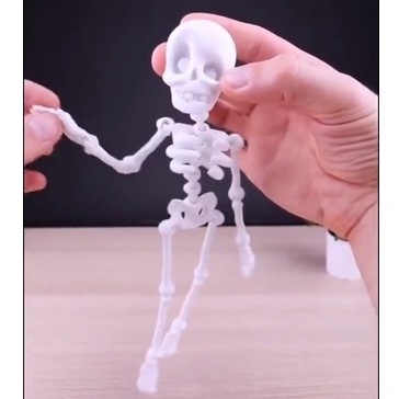 Mô hình bộ xương người linh hoạt trang trÍ, có lỗ treo phía sau đầu - IN3D.INDINI