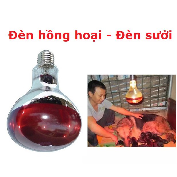 Bóng sưởi chó mèo đèn hồng ngoại 175W giúp sưởi ấm thú cưng đặc biệt mèo và chó nhỏ