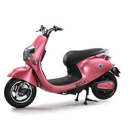 Thảm để chân xe điện GOGO, lót sàn GOGO, xe điệnGOGO - ẢNH THẠT