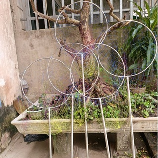 [Full Inox] Vợt vớt Cá Inox Vành Tròn, Vành Tam Giác Đủ Size, Chất Liệu Inox Siêu Bền