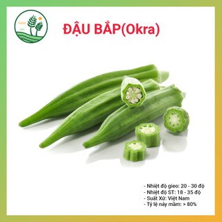 Hạt Giống Đậu Bắp Xanh 50g(Okra)