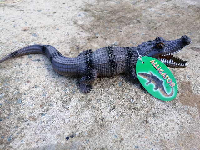 1 con Cá sấu 30cm nhựa dẻo bền kèn bóp kêu tít tít