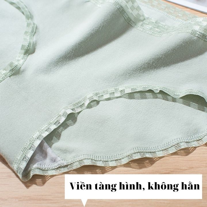 [Hàng Cao Cấp] Quần Lót Cotton Màu Trơn Cho Nữ_Quần Lót Pulo Nữ Co Giãn Mềm Mịn | BigBuy360 - bigbuy360.vn