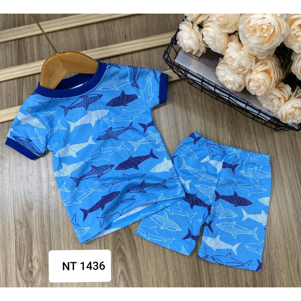 Set 4 bộ đồ Carter's bé trai