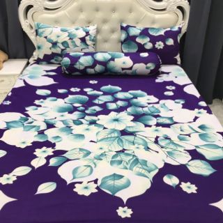 Drap thun hàn quốc
