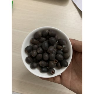 HG3 Hạt giống sen nhật mini - sen bát -(gói 5h)
