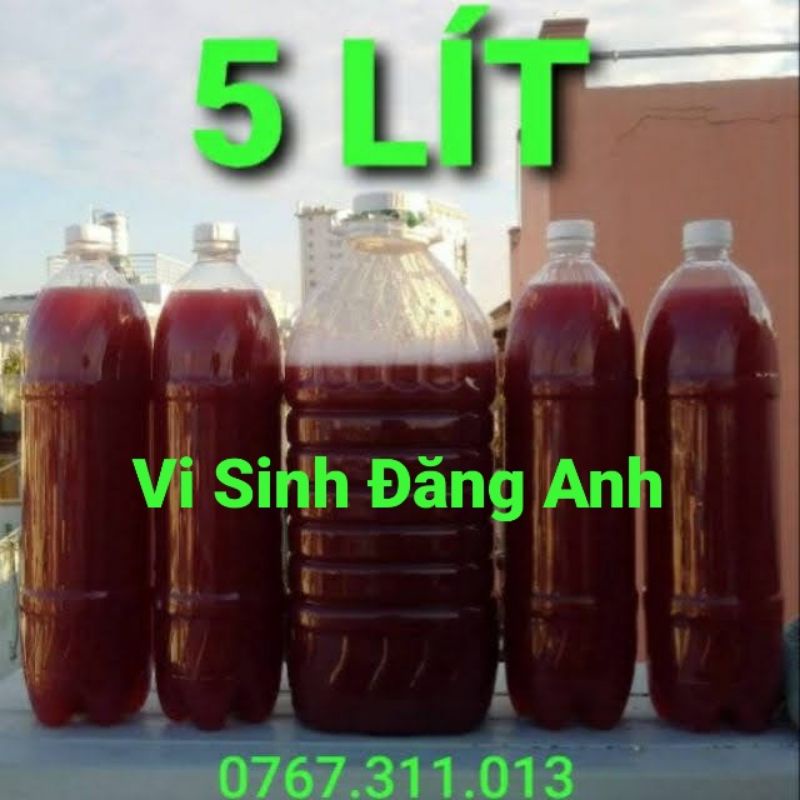 5L Vi Sinh PSB/Vi khuẩn quang hợp