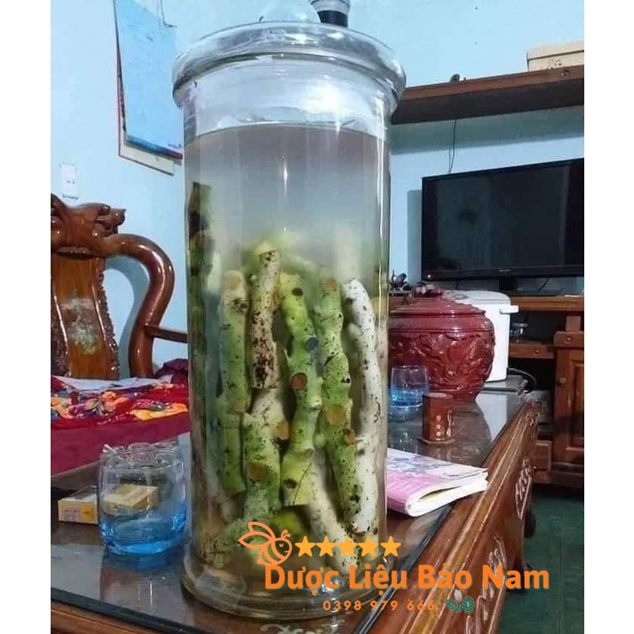 Tắc Kè Đá  tươi Tây Bắc 1kg