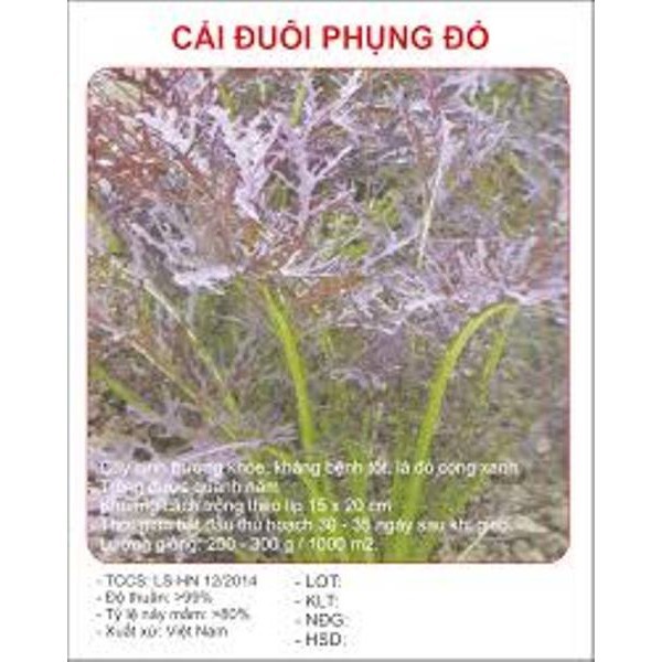 Bán buôn Hạt giống cải đuôi phụng đỏ Hạt giống rau cải ngon bao đẹp