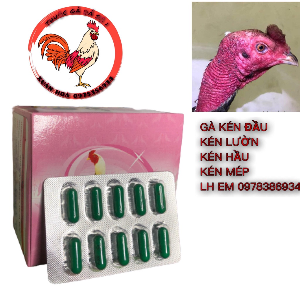TIêu kén A300 uống 3-5 hôm là tiêu