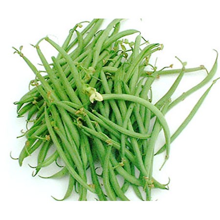 Hg đậu co ve leo hạt nâu (50g)