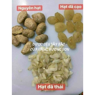 HẠT SANG TÂY BẮC - GIẢI PHÁP HIỆU QUẢ CHO NGƯỜI BỊ DẠ DÀY, ĐẠI TRÀNG (COMBO 10 HẠT)