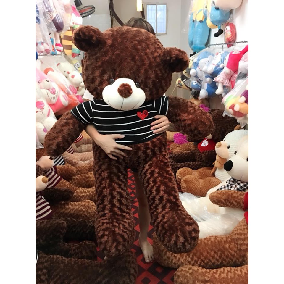 Gấu bông Teddy Cao Cấp khổ vải 1m4 Cao 1,2 màu Nâu hàng Lông Siêu Mềm Mịn