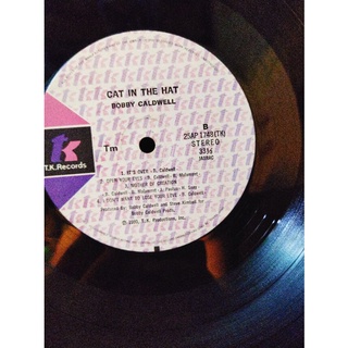 Đĩa than vinyl nhạc Pop Rock