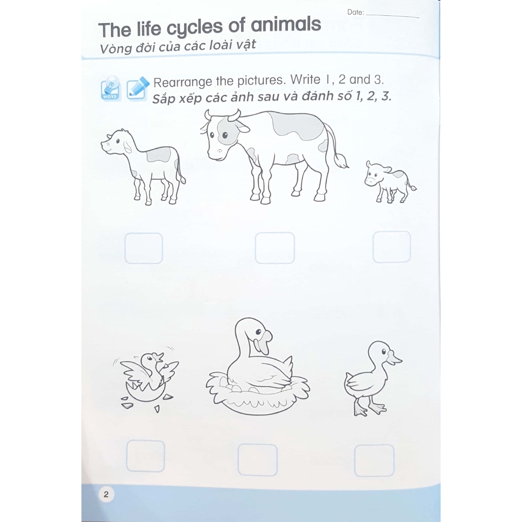 Sách - Khoa Học Tiền Tiểu Học Song Ngữ- Sách Luyện Tập 5