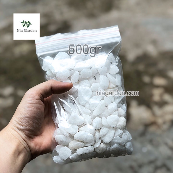 (500gr) Sỏi tự nhiên màu trắng size 1.5 - 2.5cm rải gốc chậu cây trang trí bể cá Nia Garden N6