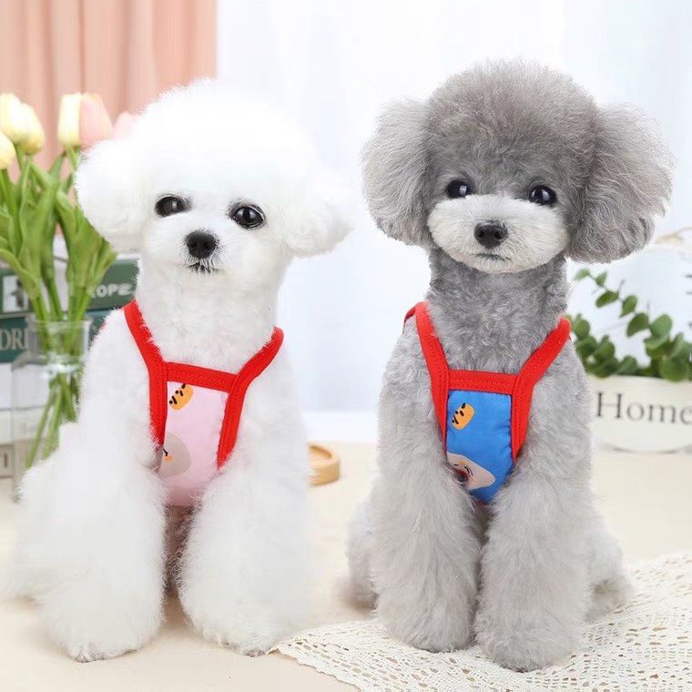 áo 2 dây in bear đội nón đỏ cho chó mèo