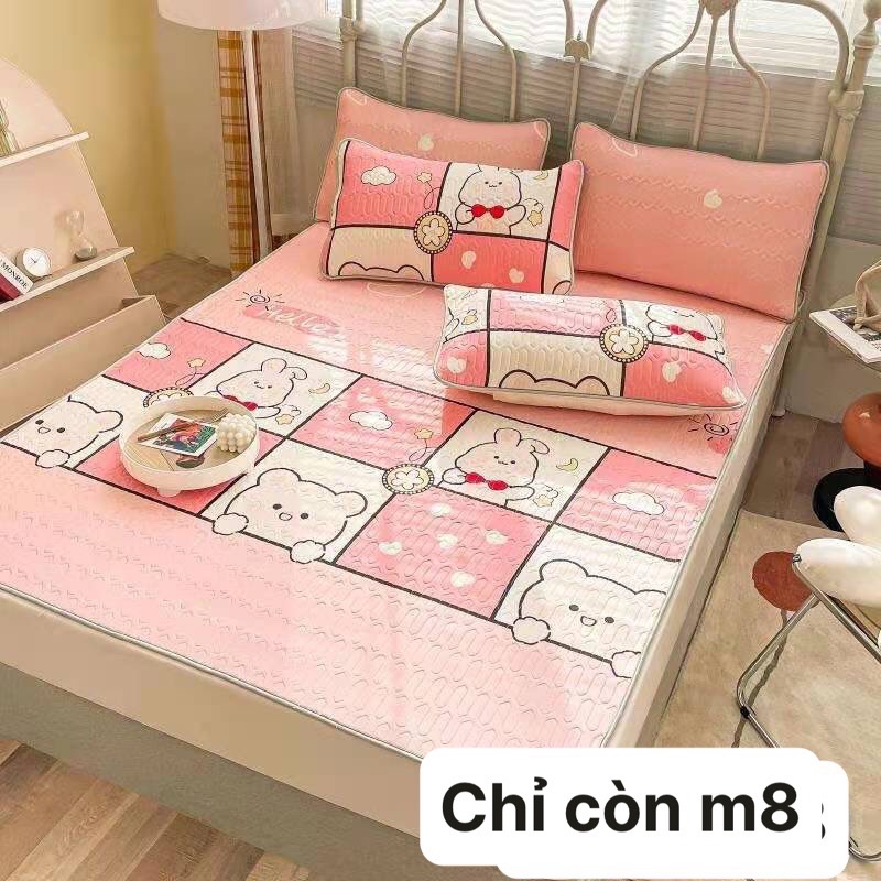 CHIẾU ĐIỀU HOÀ 2D - CAO SU NON