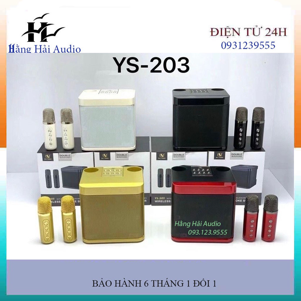 Loa Karaoke Bluetooth YS 203 Kèm 2 Micro Không Dây Siêu Hay