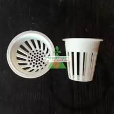 100 rọ trồng rau thuỷ canh