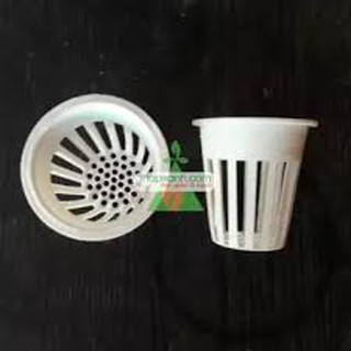 100 rọ trồng rau thuỷ canh