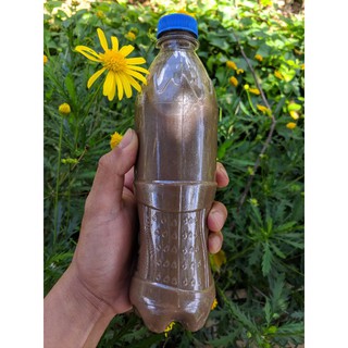 Mắm Nêm Cá Cơm Than Nguyên Chất Đậm Đặc Chưa Pha - Chai 500ml