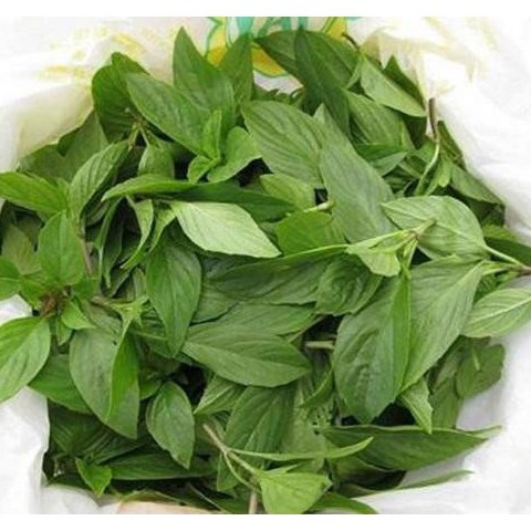 [Seeds] Hạt giống Rau Húng Quế, đóng gói 5gr