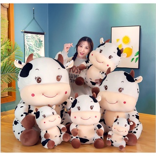 Gấu Bông Con Bò Cười