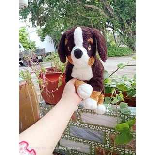 gấu bông chó nâu sz 50cm