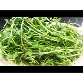Rau Đắng 500g