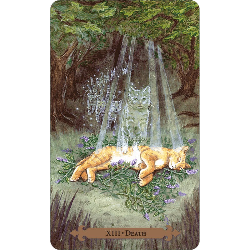 Bộ Bài Mystical Cats Tarot (Mystic House Tarot Shop)