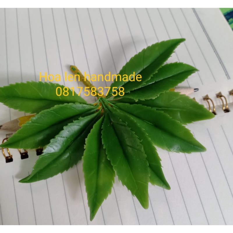 Lá đào đất sét, 15k 10 lá