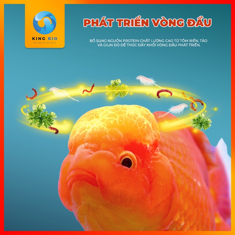 Thức ăn Yee Top Food - Cám cân bằng dinh dưỡng bổ sung tảo xoắn Spirulina và Vitamin đặc biệt cho cá vàng